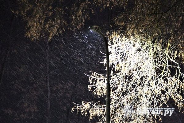 В Псковской области прогнозируют усиление ветра