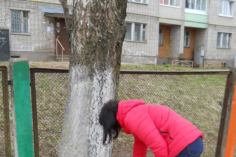 Детский сад №23 провел субботник (ФОТО)
