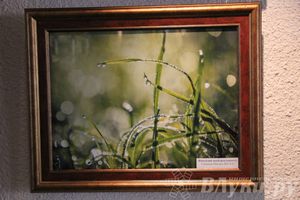 В художественном салоне состоялась фотовыставка «Летние впечатления»