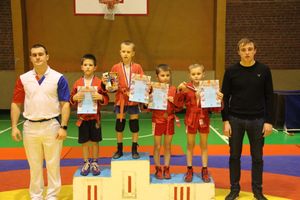 Великолукские самбисты завоевали 11 золотых наград (ФОТО)