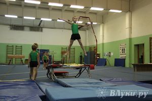 В Великих Луках состоялось Первенство по командной гимнастике (фото)