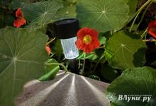 Сегодня великолучанам обещают пасмурный день