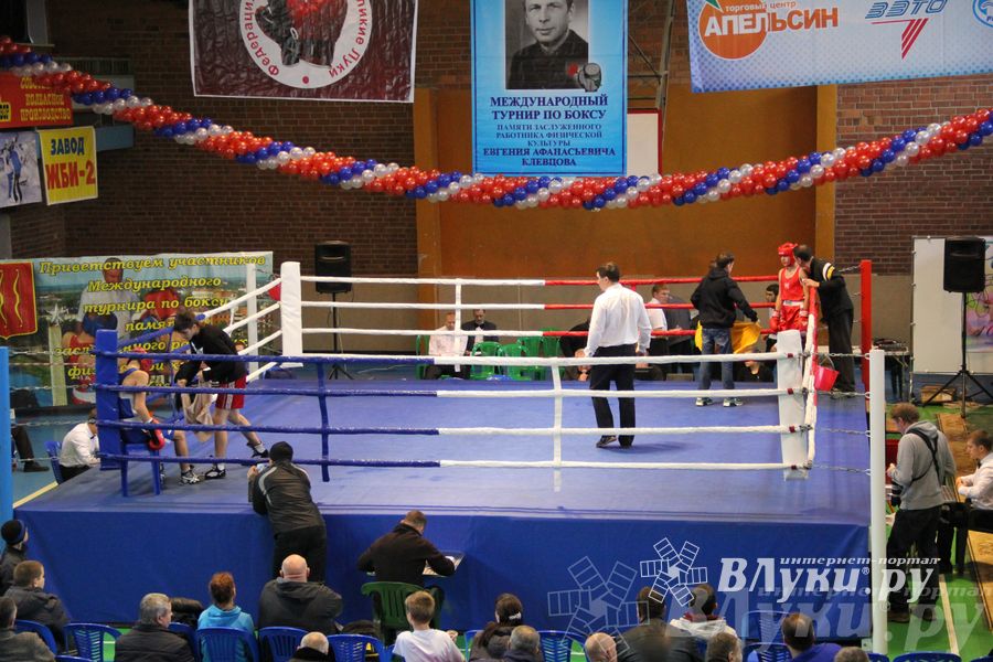 16-й Международный турнир по боксу (фото)