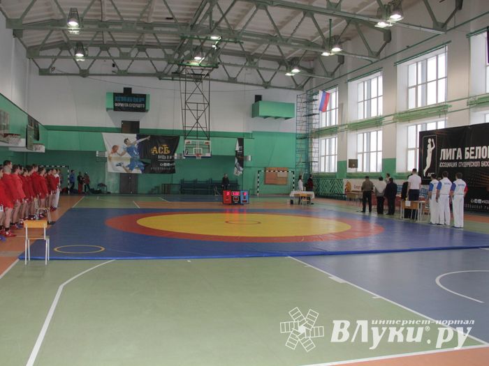 В Великих Луках прошел турнир по самбо, посвященный подвигу Александра Матросова (ФОТО)