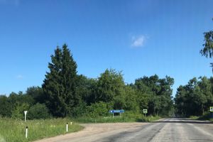 Трава у дома (ФОТО)