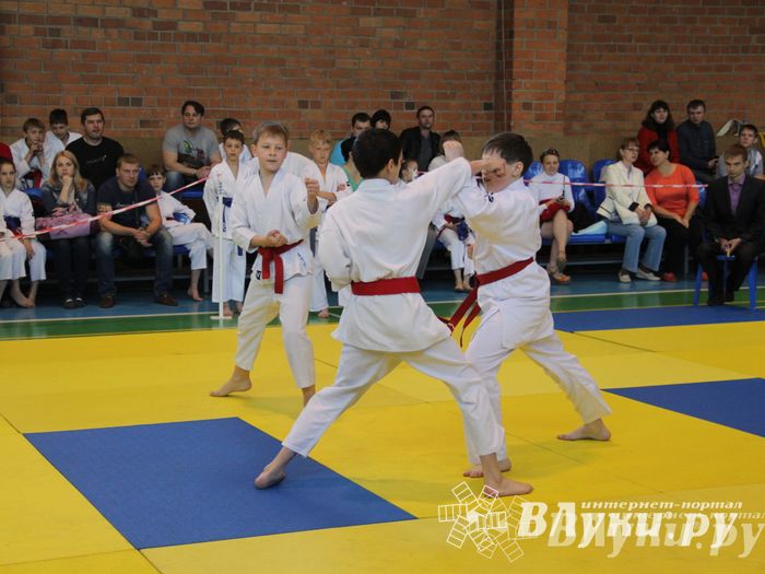 Великолучане стали победителями турнира по каратэ «Неприкосновенный запас, дети — Отчизны 2015» (фото)