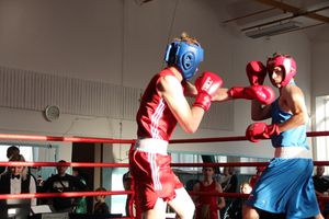 В Великих Луках завершились соревнования по боксу (ФОТО)