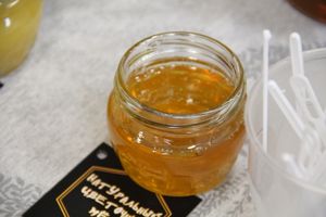 Где в Великих Луках попробовать живой шоколад на меду и вздремнуть на ульях?