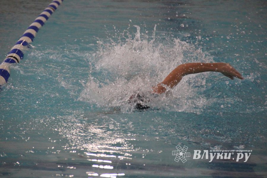 В Великих Луках прошло Первенство города по плаванию (ФОТО)