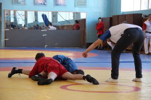 Лично-командное Первенство Псковской области по самбо