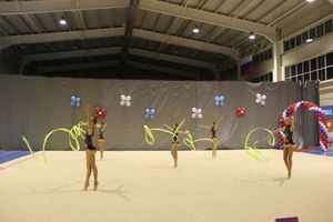 В Великих Луках прошли соревнования на Кубок Псковской области по художественной гимнастике (ФОТО)