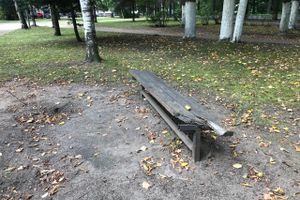 Парк Пушкина: «... А вкруг меня глухое запустенье...» (ФОТО)