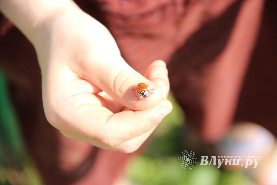 ​Небольшое, но важное дело (Фото)