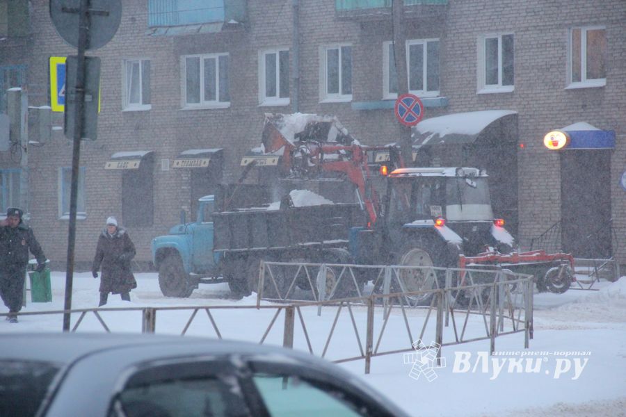 Великие Луки заносит снегом (фото)