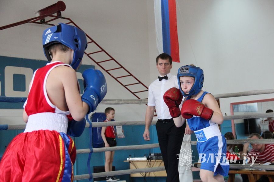 В Великих Луках прошло Первенство города по боксу (ФОТО)