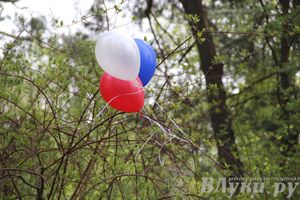 Праздник фронтовой поэзии «А музы не молчат» состоялся в Борках