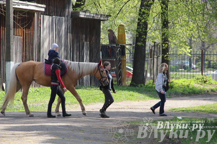  65 лет Городскому парку культуры и отдыха