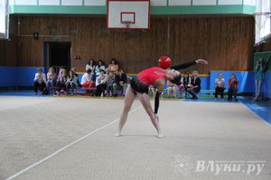 В Великих Луках прошло Первенство по художественной гимнастике (фото)