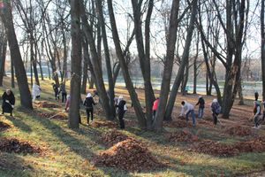 Сотрудники администрации города и великолукской городской думы приняли участие в осеннем субботнике