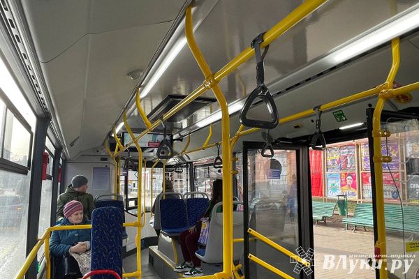 Псковская область получит 750 млн рублей на обновление автобусного парка