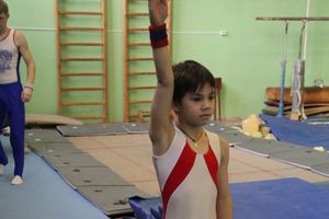 В Великих Луках состоялось  Первенство города по спортивной гимнастике (фото)