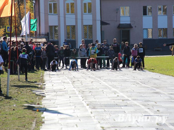 «Шиповка юных» среди великолукских школьников (фото)