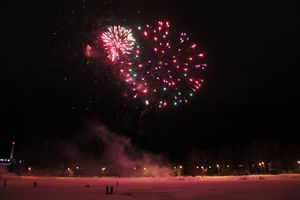В Великих Луках зажглась новогодная ёлка (ФОТО)