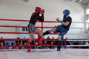 В Великих Луках проходит открытый кубок по смешанному боевому единоборству ММА (ФОТО) (12+)