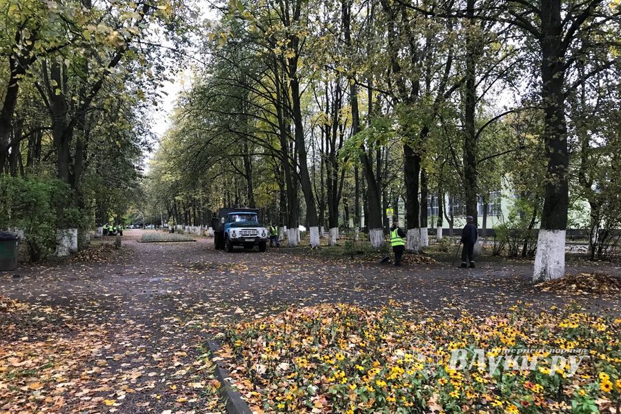Роща «отряхает» — коммунальщики убирают (ФОТО)
