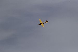 В Великих Луках состоялся «Фестиваль Авиамодельного Спорта России 2017» (ФОТО)