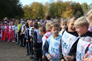 Кросс нации