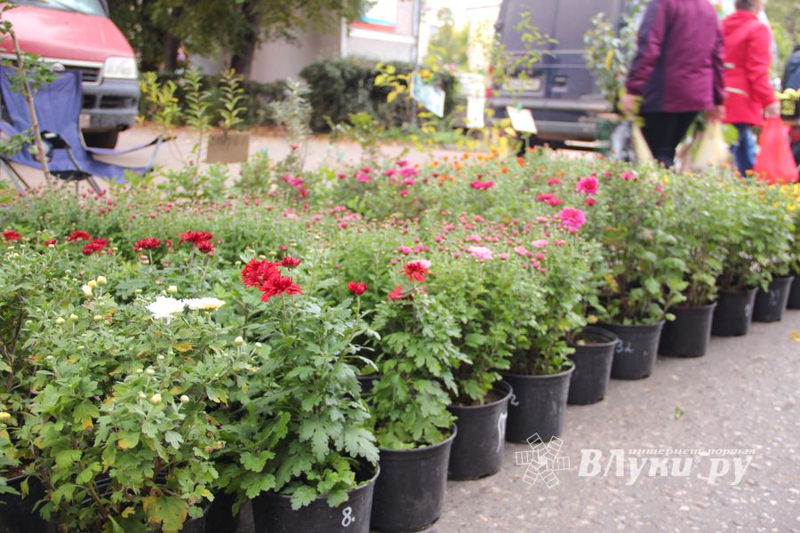 Ярмарка «Осень-2017» (ФОТО)