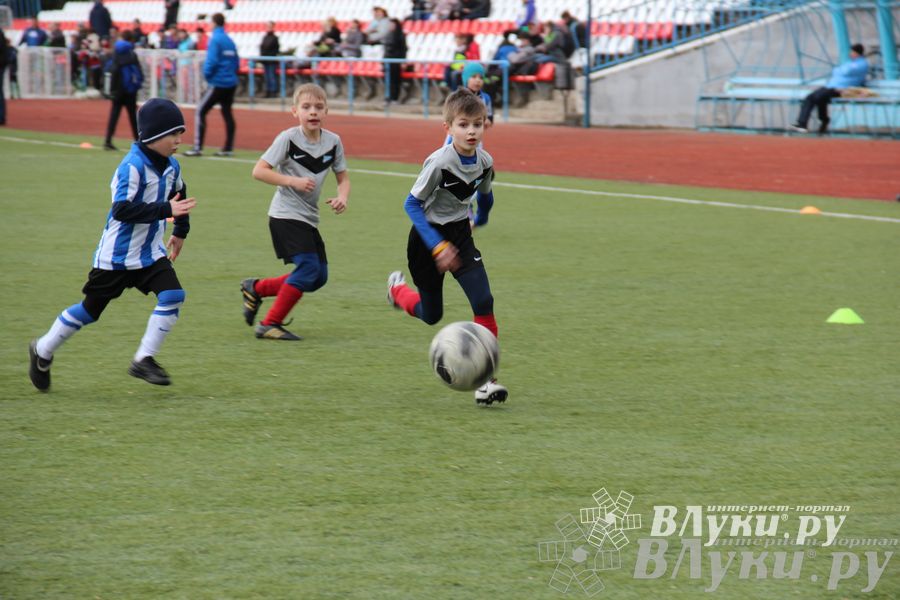 В Великих Луках прошел международный детский турнир по футболу «Наши надежды»