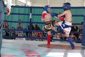 В Великих Луках прошел Кубок области по кикбоксингу (ФОТО)