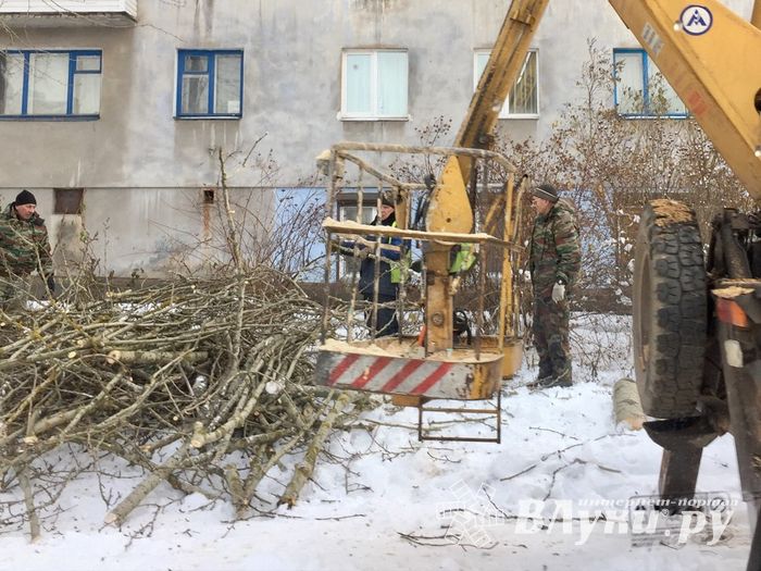 На Нелидовском проезде «омолаживают» тополя (ФОТО)