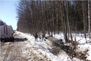 фото с сайта www.60.mchs.gov.ru