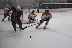 Матч НХЛ прошел в великолукском «Айсберге» (ФОТО)