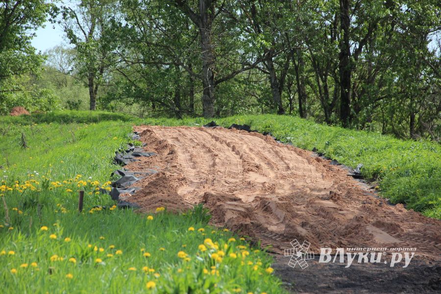 Подрядчик: Крепость в Великих Луках будет, как при Петре Первом... (ФОТО)
