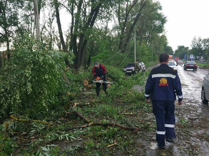 Ураган в Псковской области валил деревья и срывал крыши (ФОТО)