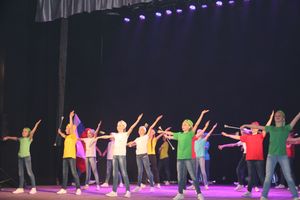 18 мая состоялся юбилейный концерт коллектива мажореток «Золотые погоны» (ФОТО)