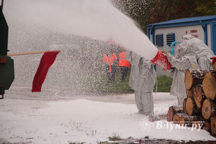 В Великих Луках тушили поезд (ФОТО)
