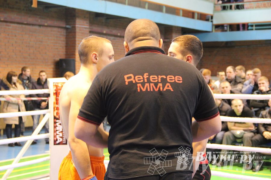 В Великих Луках прошел межрегиональный Открытый Кубок по смешанному боевому единоборству (фото)