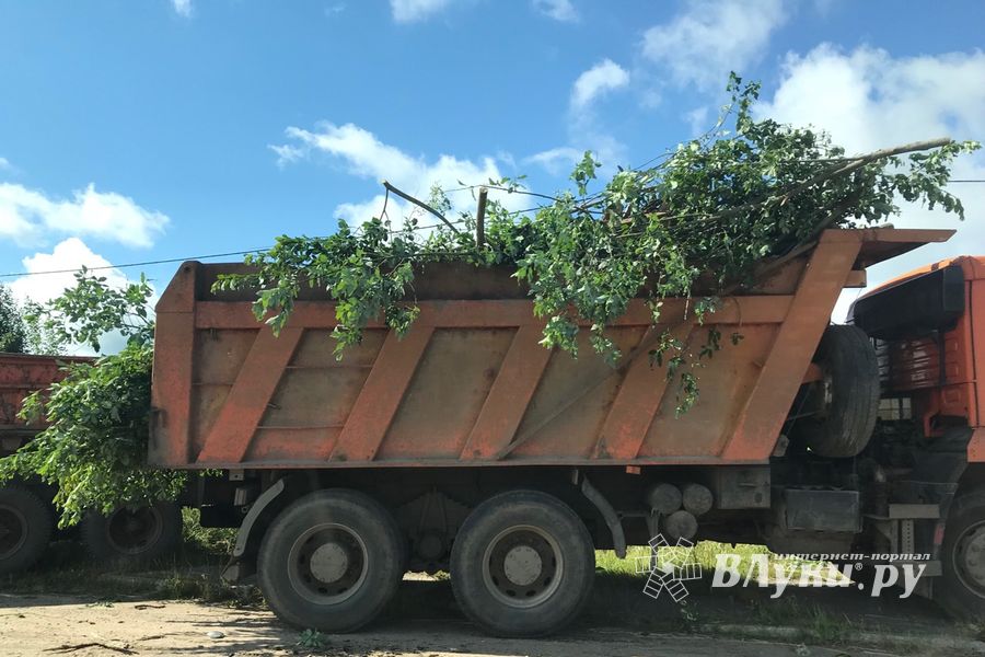 Дачников Великих лук порадовали районные дорожник (ФОТО)