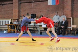 Состоялось Открытое первенство города Великие Луки по борьбе самбо
