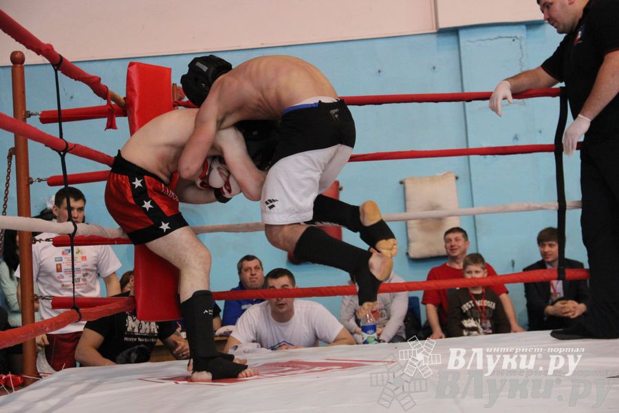 Открытый Кубок города Великие Луки по смешанному боевому единоборству (ММА)