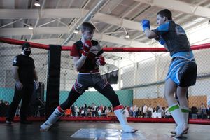 Фестиваль боевых искусств прошел в Великих Луках (ФОТО)