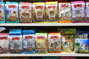 «Zooбастики»: подарите праздник своим любимцам! (ФОТО+ВИДЕО)