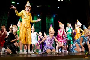 Великолучане стали призерами фестиваля-конкурса «Вдохновение. Зима» (фото)