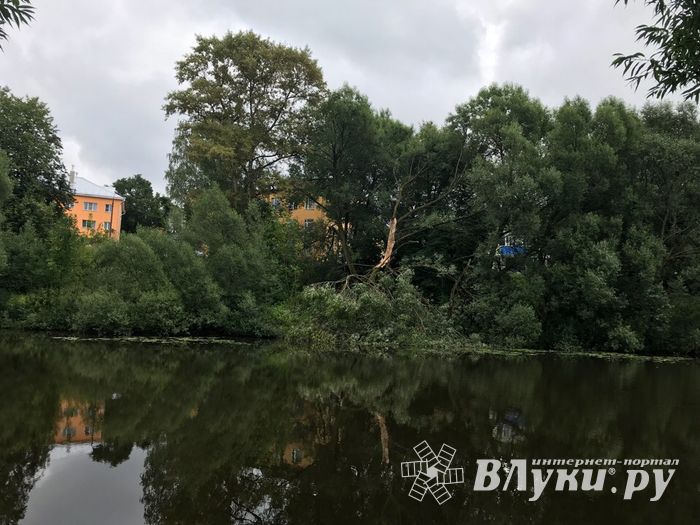 Фотофакт: застряла в плотине