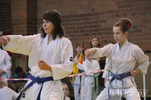 Великолучане стали победителями турнира по каратэ «Неприкосновенный запас, дети — Отчизны 2015» (фото)